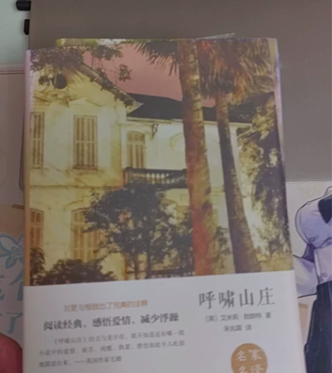 9成新呼啸山庄，开封了没看过 感兴趣的话点...