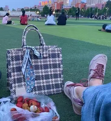 格子条纹托特包 全新 包邮