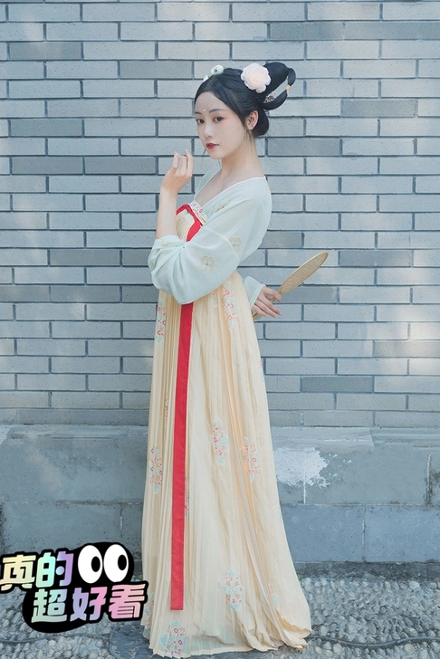 【酥山融雪】唐风满褶衫裙一片式4.5米摆 ...