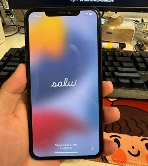 iPhone 11 pro Max256G...