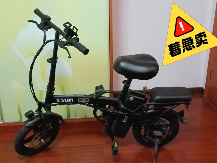 德国尊尚代驾折叠电动自行车铝合金轻车身锂电...