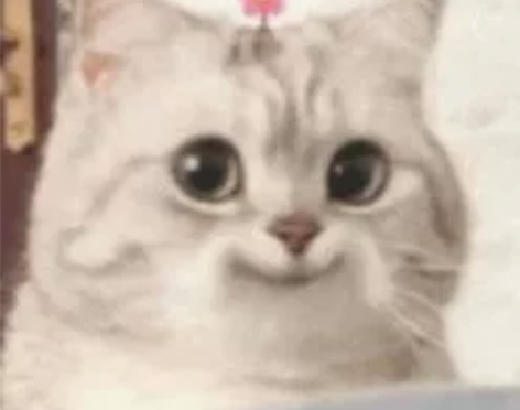 网络安全技术教程网络攻防黑客技术培训 提供...