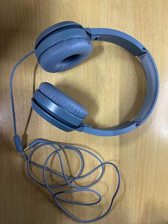 Philips/飞利浦 耳机(蓝色)