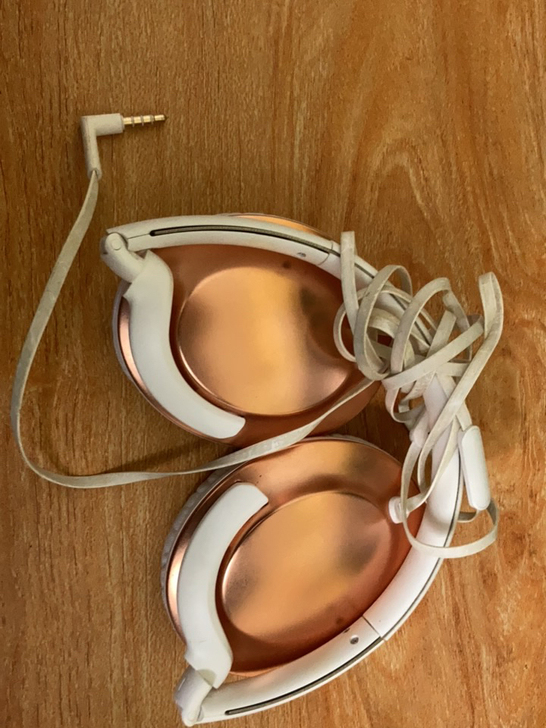 Philips/飞利浦 SHL4805发烧...