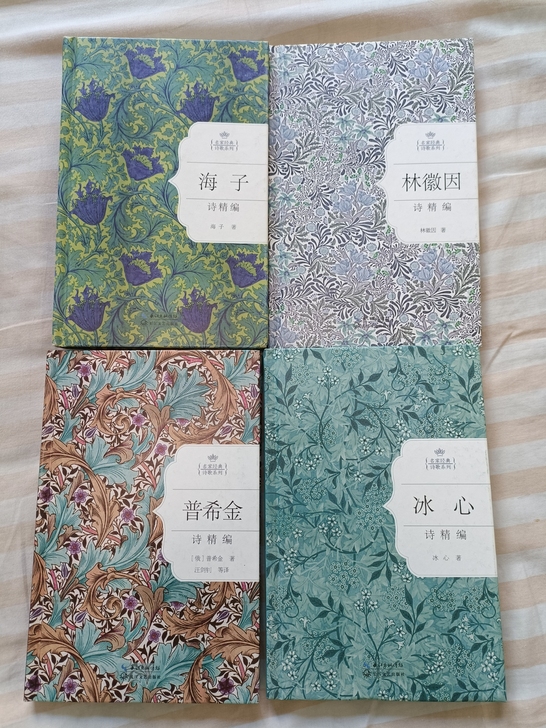 海子 林徽因 普希金 冰心诗集 全新