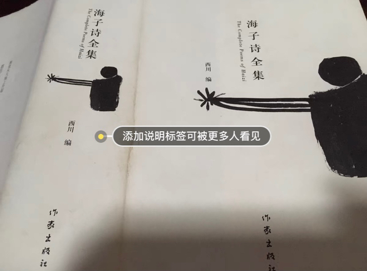 海子诗全集 精装 自然旧