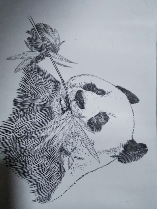 蚀刻凹版雕刻画熊猫,雕刻者:拆墙手座,熊猫...