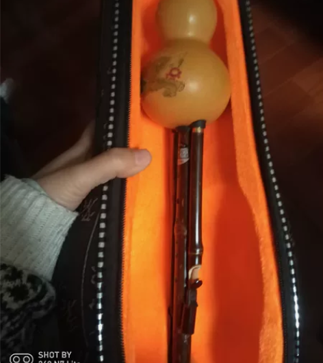 全新品牌葫芦丝c调 不会吹没吹过
