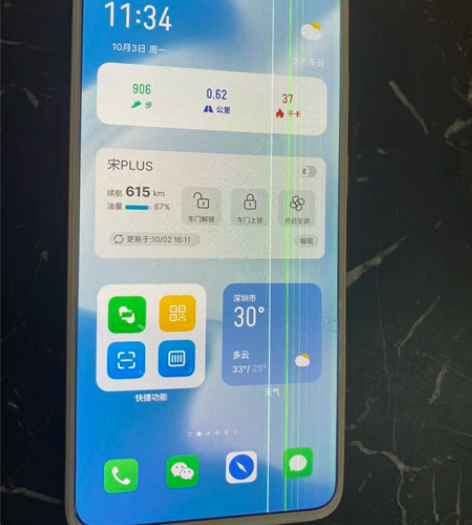 魅族17pro屏幕有线条触摸正常 感兴趣的...