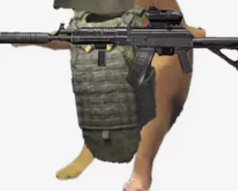 暗区突围护航，目前只接Q区，已打200+老...