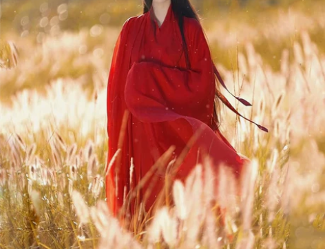 出租汉服‖长期出租汉服‖云裳小铺M码 魏晋...