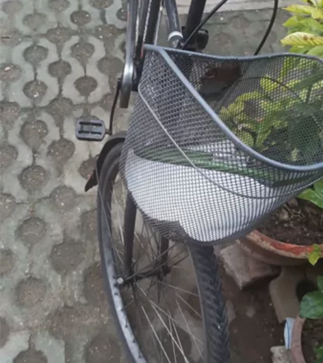 飞鸽自行车 成色如图 去年买的 闲...