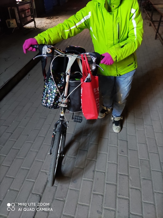 两辆折叠自行车，绿色200元粉色200