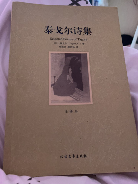 泰戈尔诗集 蛮适合摘抄的