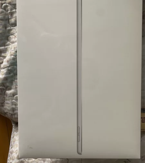 21款ipad银色内存256全新未拆封,网...