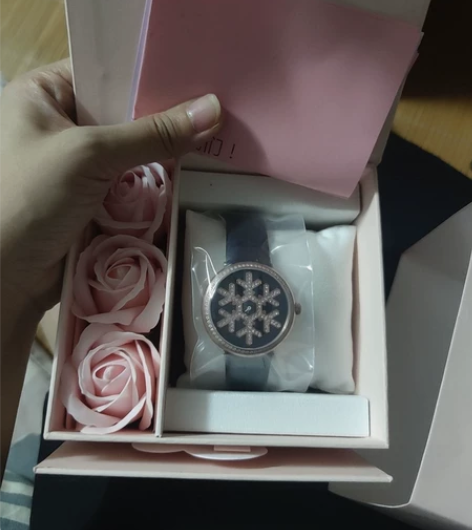 天王集团旗下品牌Sotoiru圣缇斯手表轻...