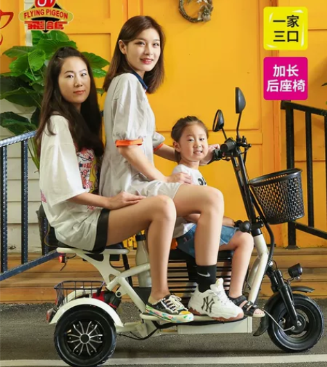 飞鸽电动三轮车家用小型接送孩子女士亲子带娃...