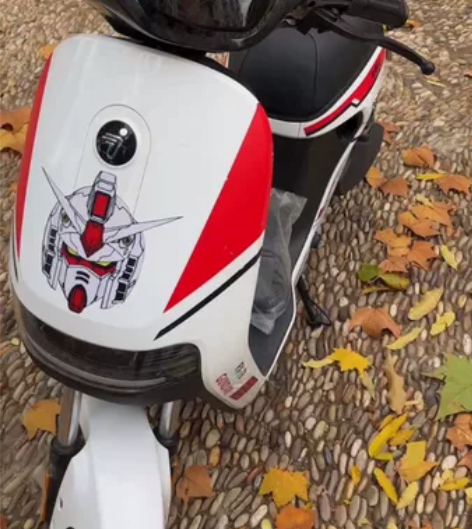 九号新款c90(c2021) 骑了3个月,...