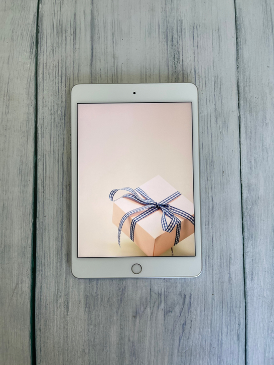 2019款iPad mini5 64g 插...