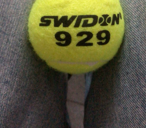 网球5元一个10个包邮 感兴趣的话点“我想...