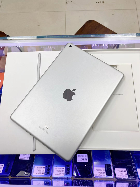 iPad 2021款【64G】国行银色，激...