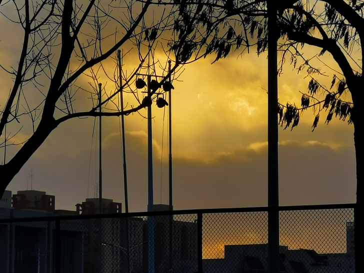 期末考试，家教大学研究生，接各种考前在线辅...