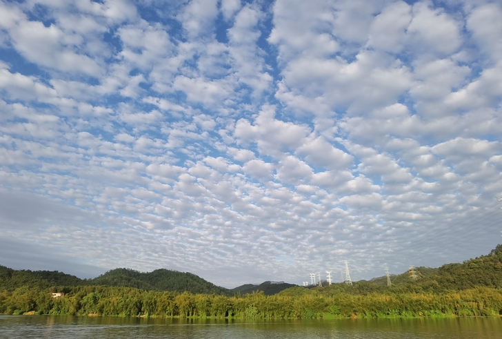 中公课程，任意场次的培训班转手，费用详谈，...