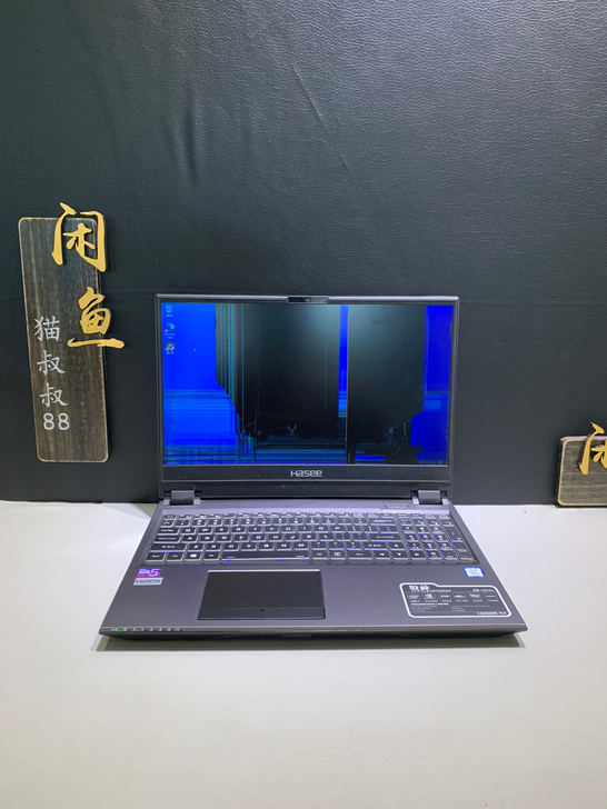 神舟战神z8-cr7p1/i7/8750h...