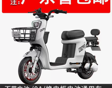 凯万德009新国标电动自行车长跑王锂电池外...