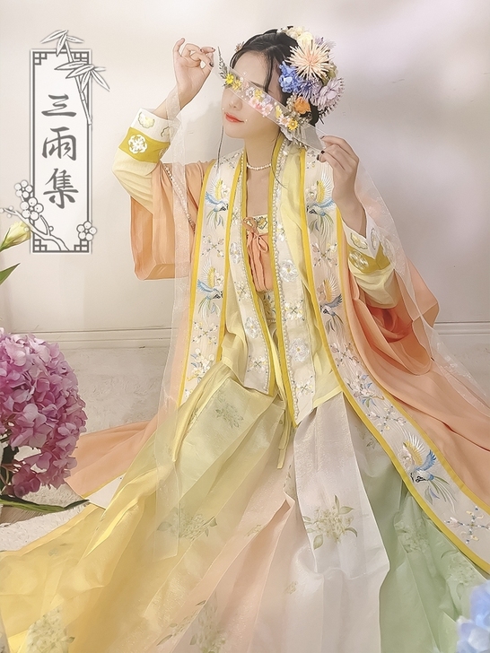 【三雨集】莺歌 原创宋制汉服双色飞机袖长褙...