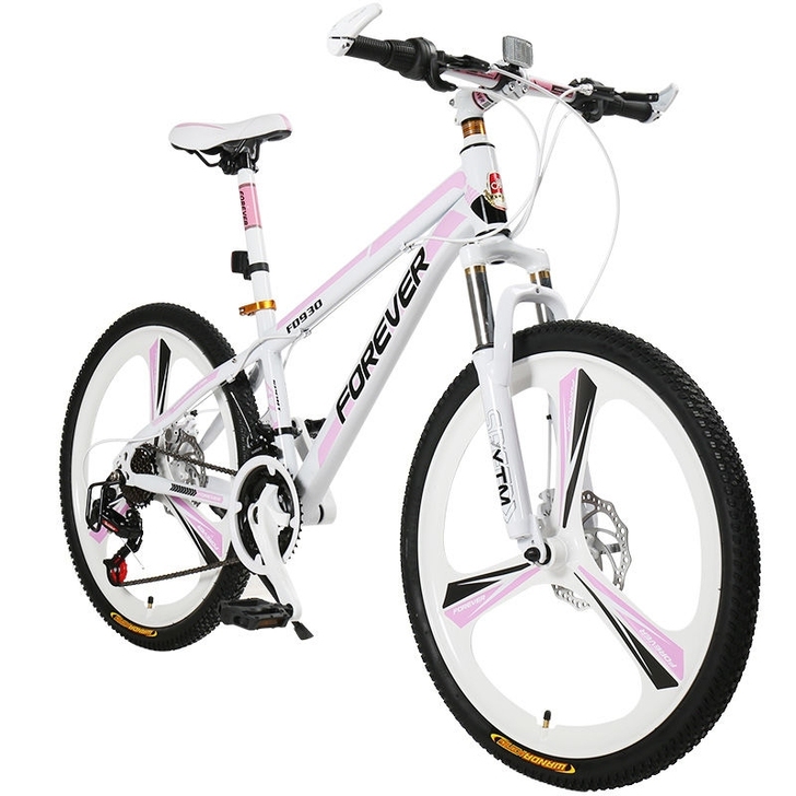 永久山地自行车，给孩子上初中准备的，可开学...