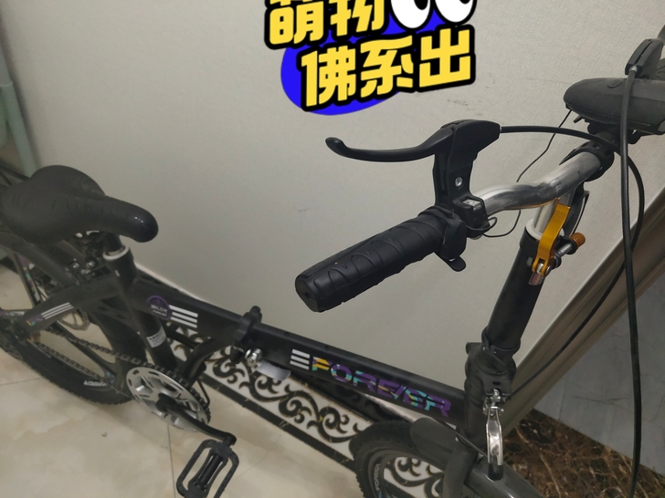 永久折叠自行车 480淘宝买的 一次未用 ...