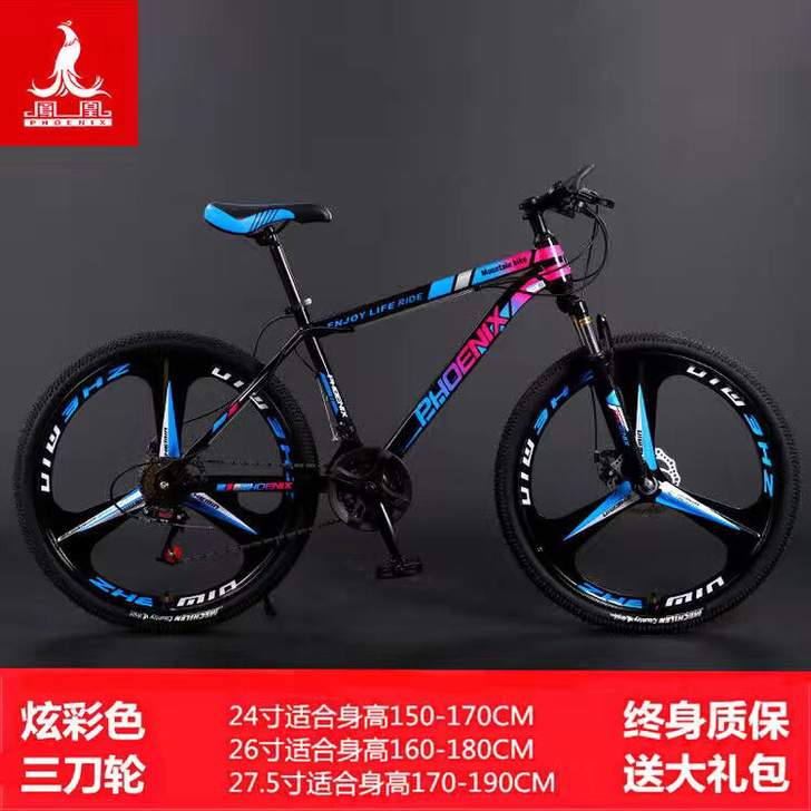 全新山地自行车,非二手捷安特自行车实体店的...