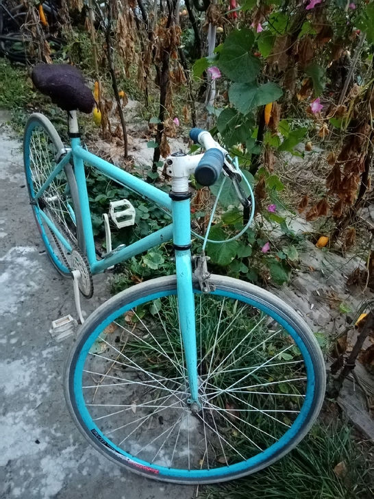 学生公路自行车