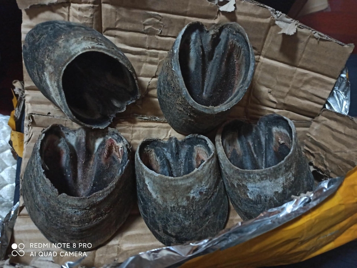 黑驴蹄子壳DIY雕刻原料佛珠吊坠挂件平安符...