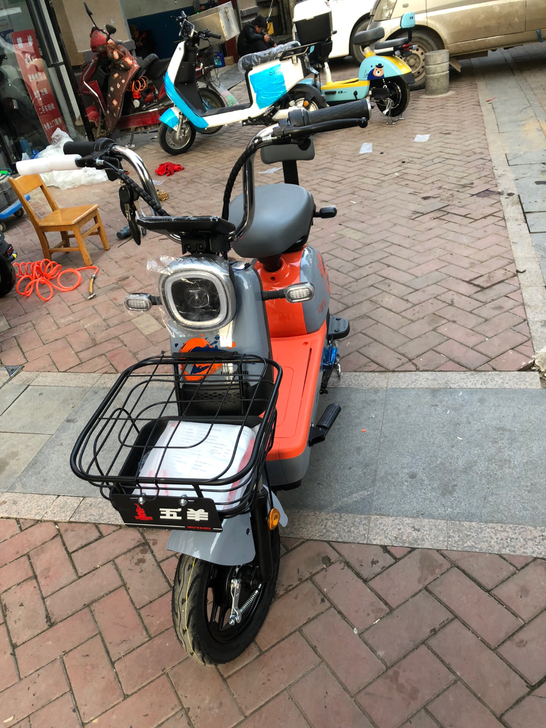 五羊电动车，全新车，全新电池，48.20安...