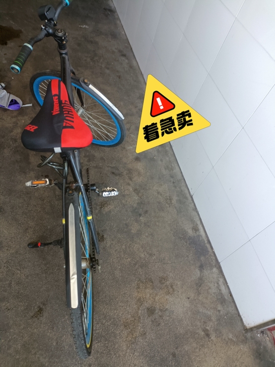 品牌型号 :死飞
