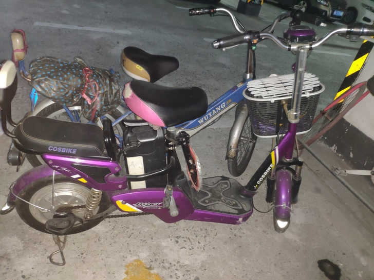 闲置电动车555元，带电池防盗器，其他没有...
