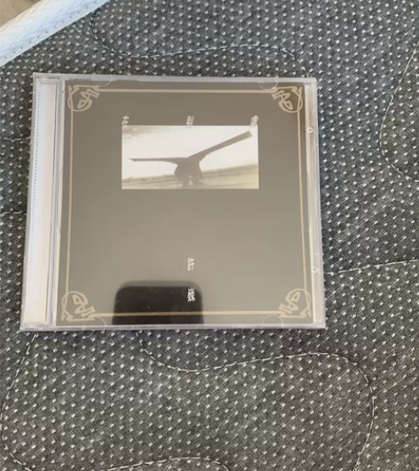 许巍 《在别处》 本人认为最朋克，最有忧郁...