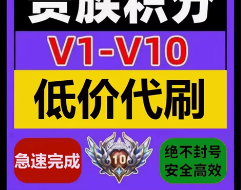 代练贵族V1-V10效率完成王者送荣耀贵