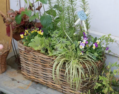 外贸复古作旧藤编花盆花篮 外贸库存，就几个...