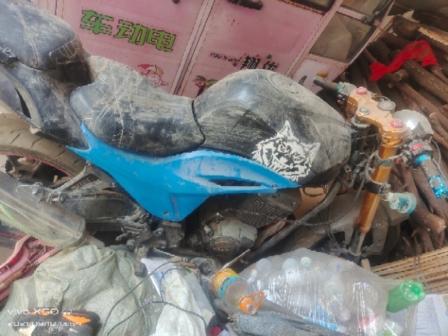 地平线250摩托车，双缸双排气，骑不着了。...