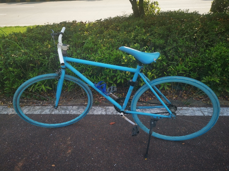 （小榄广丰公园）死飞，前两天刚换的实心胎，...