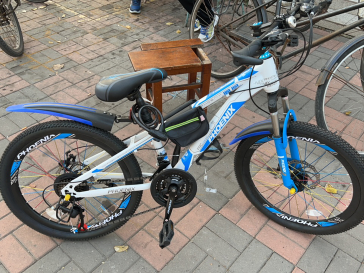 网上购的，孩子不想骑了，450买的准新车现...