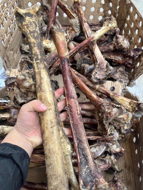 澳洲鸵鸟骨原料全品 大腿骨可以做手把件摆件...