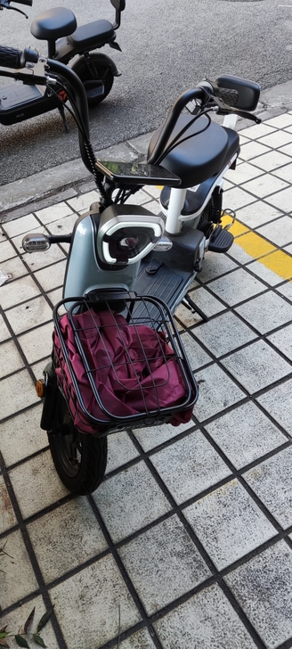 棒途 电动自行车