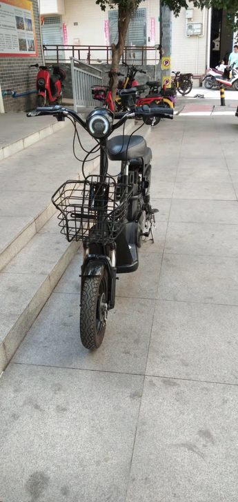 傲鸽品牌电动车，48v12安电池，续航30...