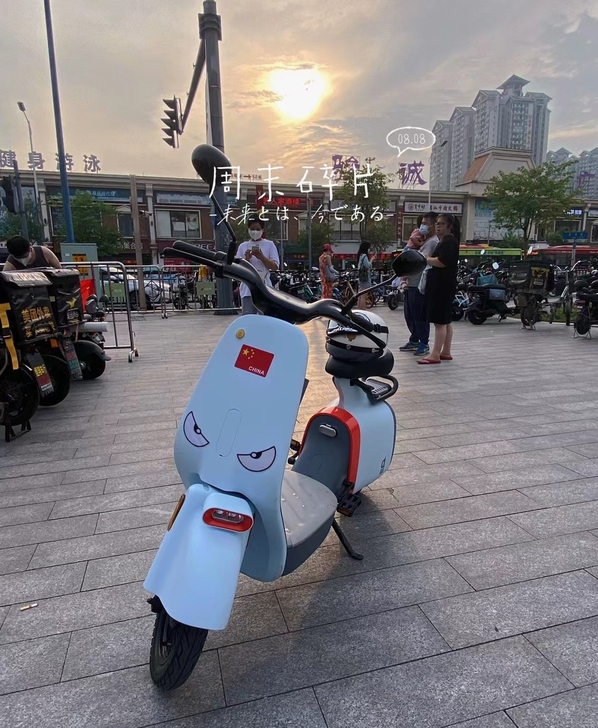 品牌型号 东动VO新国标电动车