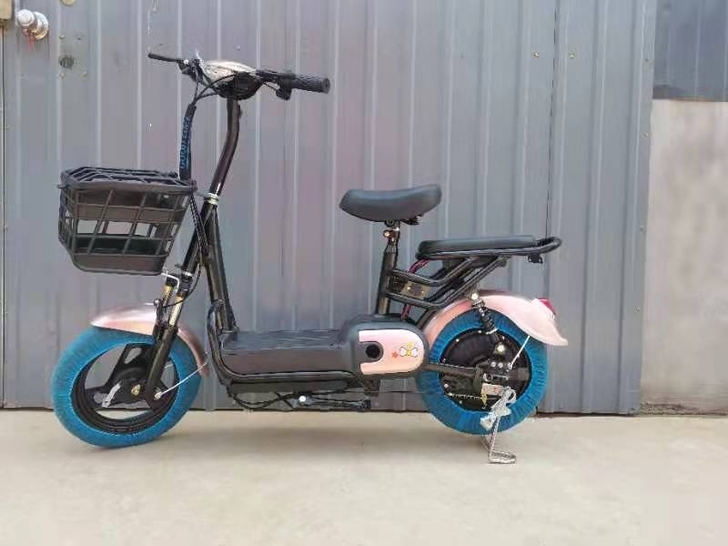 全新电动车，质保一年，电池可装48V12A...