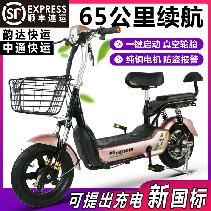 擎狮 电动自行车
